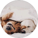 Chloe Campbell profile picture